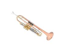 trompetas profesionales Trompeta de bronce fosforado recomendada en si bemol para principiantes y orquesta de trompeta de actuación profesional
