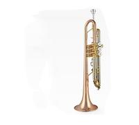 trompetas profesionales Trompeta de bronce fosforado trompeta de nivel básico para orquesta escolar autoaprendizaje en casa para principiantes