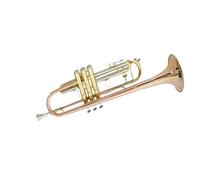 trompetas profesionales Trompeta de bronce fósforo B trompeta plana estudiante profesional principiante instrumento de marca de latón general