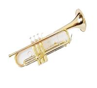 trompetas profesionales Trompeta de cuerno de bronce fósforo instrumento de viento trompeta intermedia trompeta exquisita en si bemol