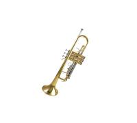 trompetas profesionales Trompeta de latón B trompeta plana estudiante profesional tocando principiante instrumento de marca de latón general