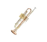 trompetas profesionales Trompeta de llave de instrumento modelo TR500 instrumento musical profesional para tocar trompeta de llave plana en Si