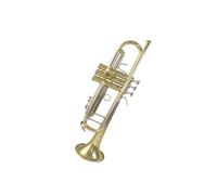 trompetas profesionales Trompeta en si bemol para estudiantes adultos y principiantes instrumento musical exquisito y duradero de tipo universal