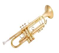 trompetas profesionales Trompeta estándar para estudiantes trompeta profesional en Si instrumento musical plateado de latón plano con funda de cuero (Color : Silver)