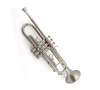 trompetas profesionales Trompeta Instrumento de latón Súper trompeta Profesional Oro Plata Principiante Si bemol(Color:Silver)