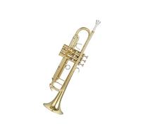 trompetas profesionales Trompeta instrumento Si bemol Examen de interpretación principiante orquesta profesional