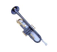 trompetas profesionales Trompeta musical única Bb B Trombón de latón plano Instrumento exquisito con boquilla guantes y caja