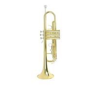 trompetas profesionales Trompeta profesional material de latón música trombón accesorios para instrumentos de viento con caja de correa para boquilla