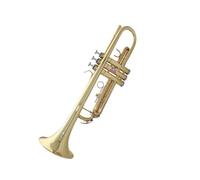trompetas profesionales Trompeta universal para principiantes con llave B de latón para examen de banda de viento