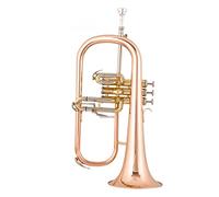 Trompetas Rendimiento Profesional Del Instrumento De Trompeta De Tres Llaves En B Plana Instrumento trompeta (Color : Phosphor bronze rose gold)