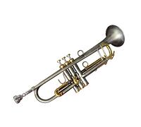 Trompetas Senior Professional Antiguo Cuerpo Plata Golden Clave Importado Piston Trompeta Instrumento trompeta