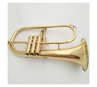 Trompetas Trompeta B-Flat Professional Tocando Instrumento Musical Principiante Instrumento trompeta