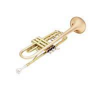 Trompetas Trompeta B Flat Two-Color Trumpet Fosfor Bronce Bell Boca Trompeta De Dos Colores Instrumento trompeta