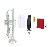 Trompetas Trompeta BB B Instrumento De Latón Plano Exquisito De Trompeta Con Boquilla Limpieza Cepillo Paño Guantes Strap Instrumento trompeta (Color : Silver)