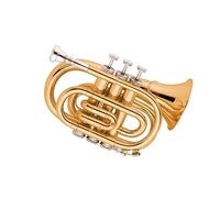 Trompetas Trompeta De Bolsillo Bb Tono Lacado Dorado Instrumentos Musicales Para Estudiantes