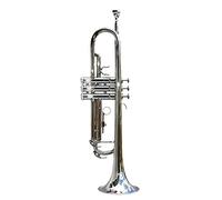 Trompetas Trompeta De Latón Principiante Trompeta Amateur Trompeta Instrumento Musical Profesional Playing B Plano Plano Trompeta Instrumento trompeta (Color : Silver)