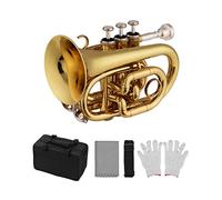 Trompetas Trompeta Musical BB B Latón Plano Exquisito Durable Tromete Musical Instrumento Musical Con Guantes De Boquilla Caja De Correa Instrumento trompeta (Color : Type B)