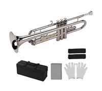 Trompetas Trompeta Musical BB B Latón Plano Exquisito Durable Tromete Musical Instrumento Musical Con Guantes De Boquilla Caja De Correa Instrumento trompeta (Color : Type C)