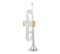 Trompetas Trompeta Pequeña Bb, Instrumentos Musicales Profesionales Con Llave Dorada Y Plateada, Con Estuche