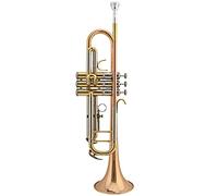 Trompetas Trompeta Trompeta Trompeta BB B Plate Brass Band Trompet Instrumento trompeta