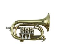 Trompetas Tubo De Latón Cuerpo Lacado B-Flat Blass Instrumento De Viento Válvula Giratoria Trumpet Palm Horn Corrnet Instrumento trompeta