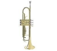 Trompetas Un Instrumento De Trompeta En B-Flat Para El Examen De Los Instrumentos De Viento. Instrumento trompeta (Color : Gold)