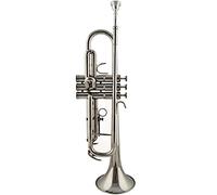 Trompetas Un Instrumento De Trompeta En B-Flat Para El Examen De Los Instrumentos De Viento. Instrumento trompeta (Color : Silver)