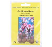 TROPICA Árbol Orquídea - 8 semillas