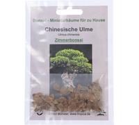 TROPICA Olmo Chino - 1 paq.