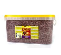 Tropical Cichlid Carnivore Medium Pellet 10L / 3,6kg - Alimento para cíclidos carnívoros Grandes y medianos