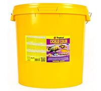 Tropical Cichlid Color Flakes 21L / 4kg - Alimento potenciador del Color con Alto Contenido de proteína para los cíclidos