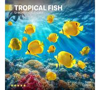 Tropical Fish 2026 Calendar: Colorful Reef Life Beneath the Sea