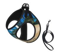 Tropical Island - Juego de correa reflectante ajustable para gatos y perros, chaleco de malla transpirable suave con diseño a prueba de fugas para mascotas pequeñas