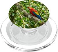 Tropical Loro Jungla Pájaro Vibrante Vida Silvestre Escena PopSockets PopGrip para MagSafe