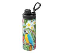 Tropical Plants and Parrots - Botella de agua aislada con asa, 18 onzas, botella deportiva de acero inoxidable para escuela y viajes