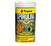 Tropical Super Spirulina Forte Mini alimento granulado con 36% de espirulina (platensis), 1 Unidad (1 x 100 ml)