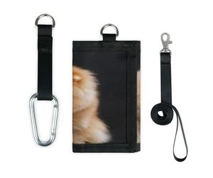 TropicalLife Pomeranian Dog - Bonita cartera delgada y pequeña con bolsillo organizador de dinero, bolsa ligera y portátil