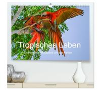 Tropisches Leben Ein Paradies des Lebens und der Farben (hochwertiger Premium Wandkalender 2026 DIN A2 quer), Kunstdruck in Hochglanz: Eine vielfarbig ... Tropen vom Regenwald bis zum Ozean.