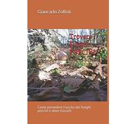 Trovare i funghi porcini: Come prevedere l'uscita dei funghi porcini e dove trovarli