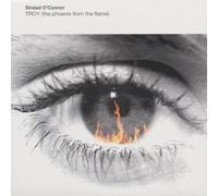 Troy (the phoenix from the flame; 2002, incl. Push Remix) / Vinyl Maxi Single [Vinyl 12'']