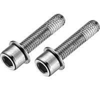 TRP 4717592031010 Tornillo de Pinza Trasera Flat Mount-Acero inoxidable-par-22 mm, Unisex-Adult, Negro, 22
