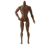 Trrymbbe 1/6 Scale Action Figure, 6" Multi Jointed Movable Male Muscular Action Figure Body For Display Collection, Brown