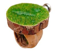 Trrymbbe Jumping Spider Hide Caja magnética para araña saltadora con Plataformas de Musgo de 1, 6 x 1, 8 Pulgadas