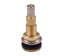 Truck Valve Stem - Air Liquid TR618A Agricultural Tire Valve | Sturdy Brass Tubeless Valves Stem for Tractor Tire Tools Farm Equipment Heavy Duty Vehicle Maintenance Workshop Garage Use