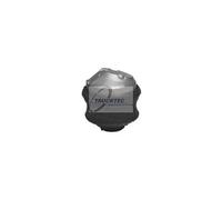 Trucktec Automotive 02.22.029 Soporte, motor