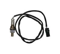 TRUCKTEC AUTOMOTIVE Sonda Lambda Ajuste Sonda para BMW 5er 523i 520i 528i 3er