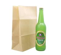 Truco mágico de desaparición de botellas de cerveza, accesorio mágico interactivo divertido para escenario, material de PVC, 7 x 29,5 cm, 200 g