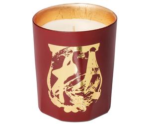 Trudon - SCENTED CANDLE TSENG TERRE A TERRE - Vela perfumada 270 g