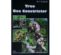 True Boa Constrictor