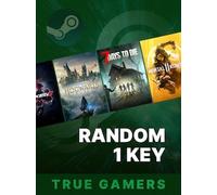 True Gamers Random 1 Key (PC) - Steam Key - GLOBAL